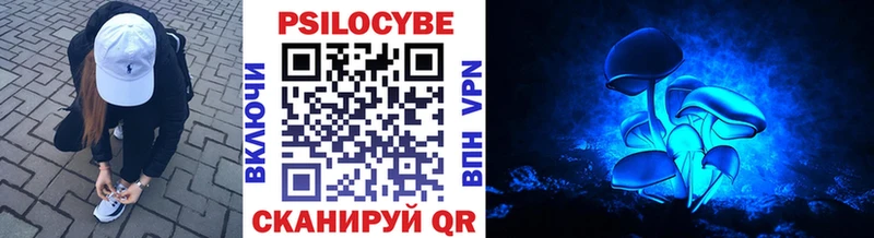 Псилоцибиновые грибы Cubensis Ялуторовск